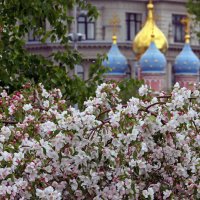 Зарядье 4 мая :: Михаил Бибичков