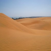Красные дюны Муйне. :: unix (Илья Утропов)