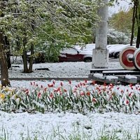 Москва. Городкие зарисовки. :: Ольга Довженко