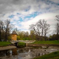 В Павловском парке в начале мая :: Магомед .