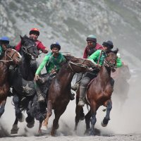Игры тюркских народов... :: владимир 