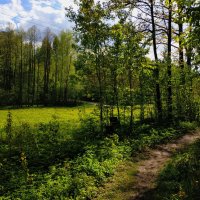 Это - май-баловник, это - май-чародей :: Андрей Лукьянов