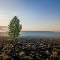 Утро на бывшем хуторе :: Sergei Vikulov