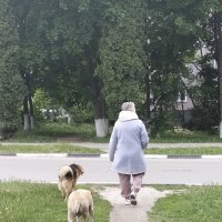 Две собаки и... кошка! :: Валентина  Нефёдова 