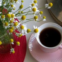 Чашка кофе вкусно пахнет на столе… И улыбаются ромашки! :: Татьяна Смоляниченко