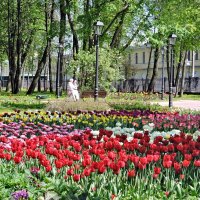 В городском саду... :: Мария Васильева