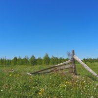 Подмосковные Пейзажи :: юрий поляков