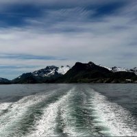 Лето в Северном Ледовитом океане /Норвегия/...Ein Sommer im Nordpolarmeer / Norwegen / :: "The Natural World" Александер