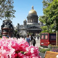 Цветущий май :: Наталья Герасимова