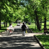 По центральной аллее старого парка,,, :: Анатолий Колосов