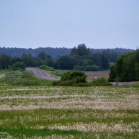 А дорога дальняя змейкою вьётся... :: Анатолий Клепешнёв