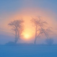 winter sunrise :: Elena Wymann