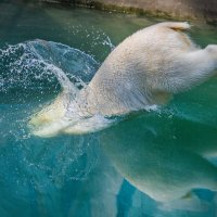 вход в воду :: аркадий 