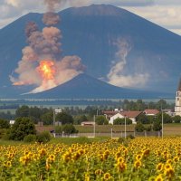 Нейропейзаж :: Роман Савоцкий