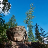 Падающий камень. :: Владимир Безбородов