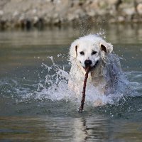 Водные процедуры :: Светлана 