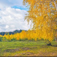 Осень :: vedin 