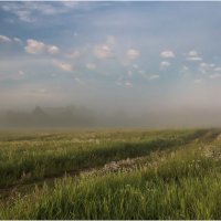 Летнее утро :: Валентин Котляров