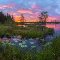 Цветные сны :: Фёдор. Лашков