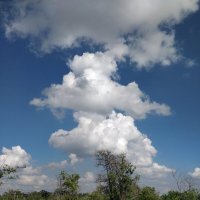 Облака,июнь :: Андрей Хлопонин