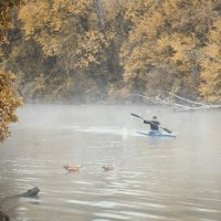 По следам Кубанского тумана. :: Анатолий Щербак