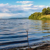 С берега водохранилища.. :: Юрий Стародубцев