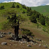 ДОЛИНА КУЛОСЬИ. :: Виктор Осипчук