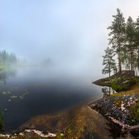 Туманное утро :: Фёдор. Лашков