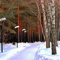 Зимний Красноярск :: Василий 