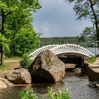 В парке Монрепо :: Ирина Соловьёва