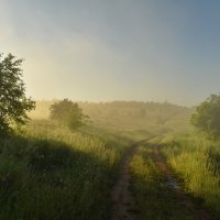 Босиком по росе :: Роман Пацкевич