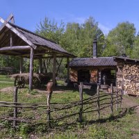 Усадьба во Фленово. Кузница :: Сергей Цветков