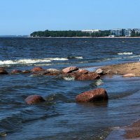 Финский залив. :: Владимир Безбородов