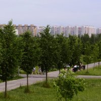 Зелёный перекрёсток. :: Василий Палий