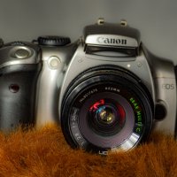 Canon 300D :: Анатолий Момотов