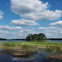 Парк Монрепо. :: Владимир Безбородов