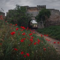 Ени-Кале: алые воины мая. :: Анатолий Щербак