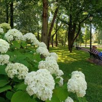 В городском саду :: Мария Васильева