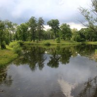 Александровский парк. Шапельный пруд :: Наталья Герасимова