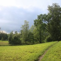 Александровский парк :: Наталья Герасимова