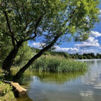 Воздух, солнце и вода! :: Любовь 