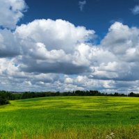 Яркие краски лета. :: Милешкин Владимир Алексеевич 