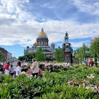 Отдыхающие в городском сквере. :: Лия ☼