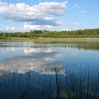 Озеро Тихое :: Нэля Лысенко