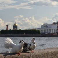 мечты сбываются :: Сергей 