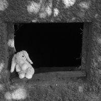 Follow the white rabbit :: Марио Ардженто