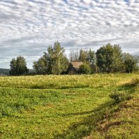 В деревне у бабушке :: Виктор Журбенков