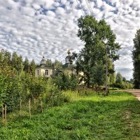 В деревне у бвбушке :: Виктор Журбенков