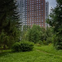 Фото.25.07.2024.Екатеринбург.Пасмурным днём в Ботаническом Саду :: Михаил Пименов