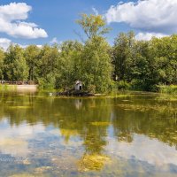 Лебединое озеро в городском парке :: Александр Синдерёв